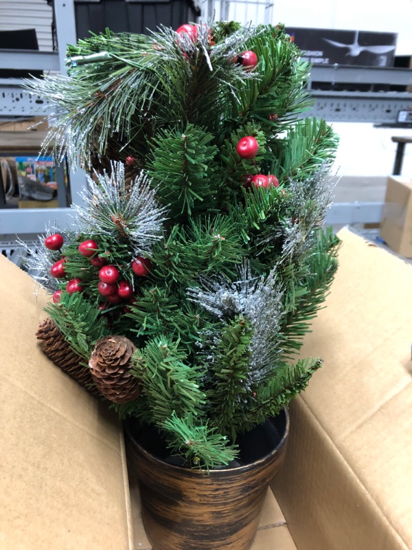 Photo 2 of *STOCK PHOTO IS JUST A REFERNCE NOT EXACT OBJECT* 2' NATIONAL COMPANY Small Tree IN PLASTIC BRONZE POT 

