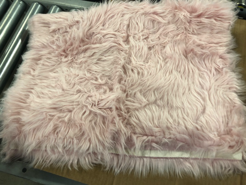 Photo 1 of 24x32 inches Small Rug
