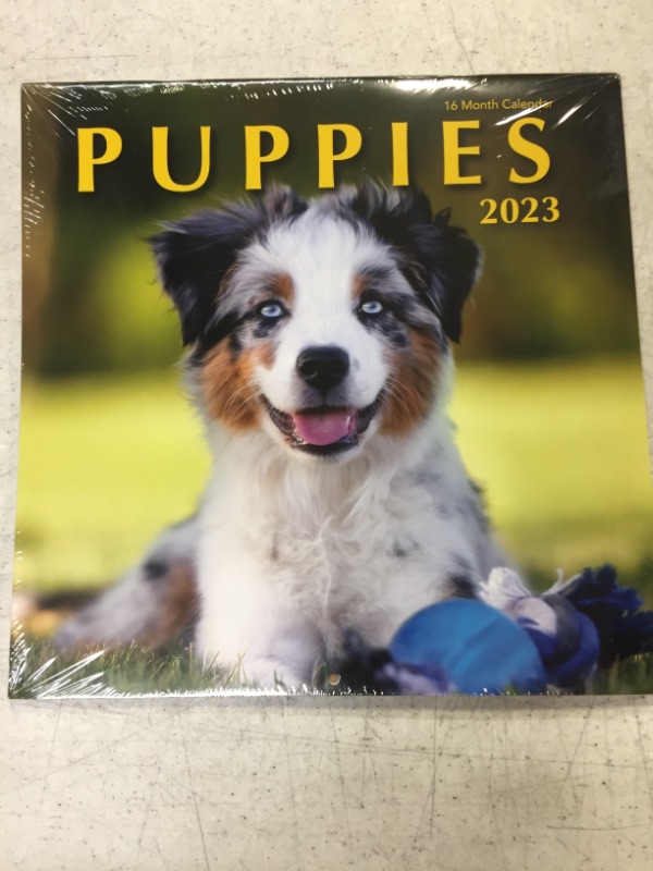 Photo 2 of Puppies 2023 Hangable Wall Calendar - 12" x 24" Open - Cute Funny Dog Photo Gift - Sturdy Thick Puppy Dogs Photography - Large Full Page 16 Months for Organizing & Planning - Includes 2022 (PACK OF 2)