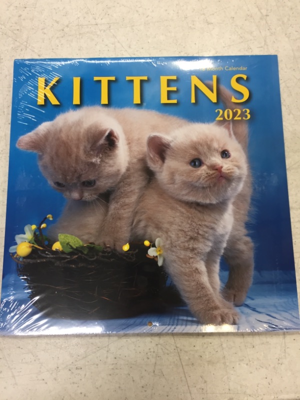 Photo 2 of Kittens 2023 Hangable Wall Calendar - 12" x 24" Open - Cute Kitty Cat Photo Gift - Sturdy Thick Beautiful Kitten Photography - Large Full Page 16 Months for Organizing & Planning - Includes 2022 (PACK OF 2)