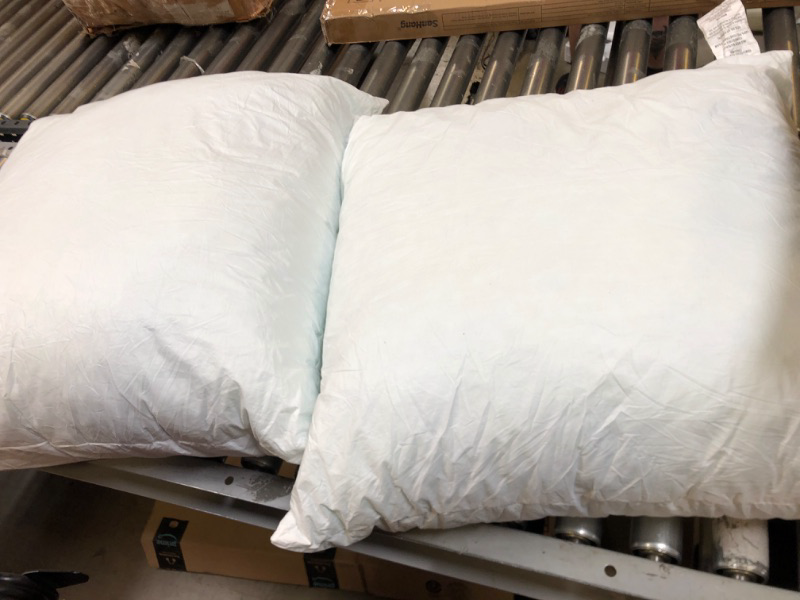 Photo 1 of 2 pillows 28x28 inch