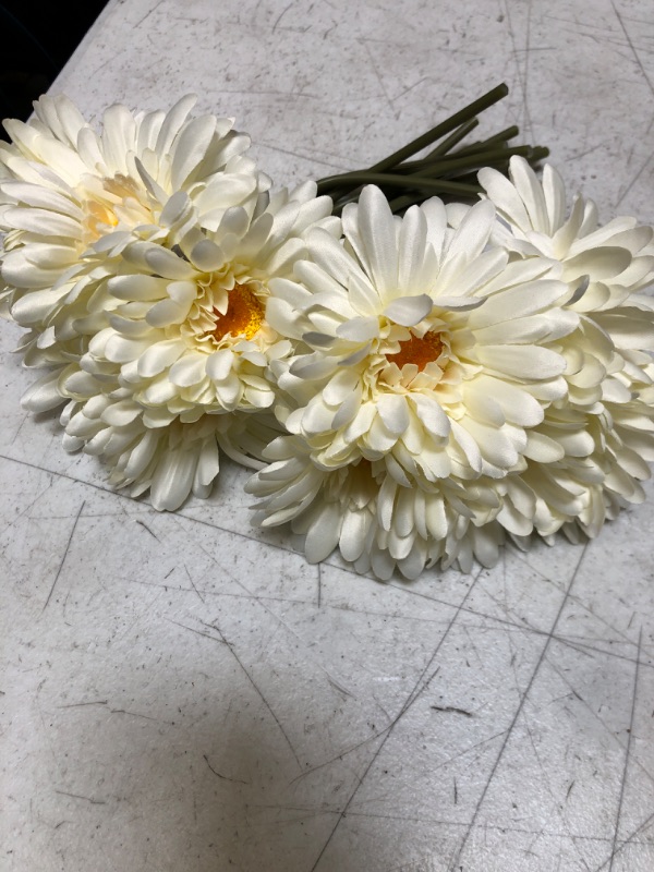 Photo 1 of 2 PACK DAISIES FLOWER BOUQUET