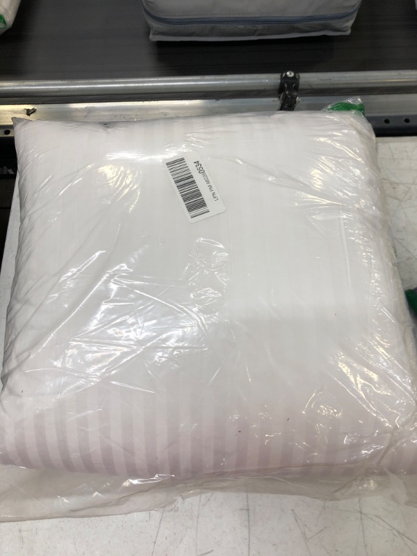 Photo 1 of 2 PACK WHITE CUSHION 18X18