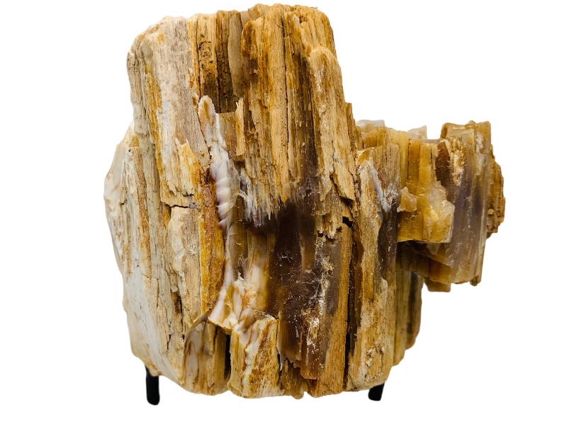 Photo 1 of 223594…4 x 4’ petrified wood 