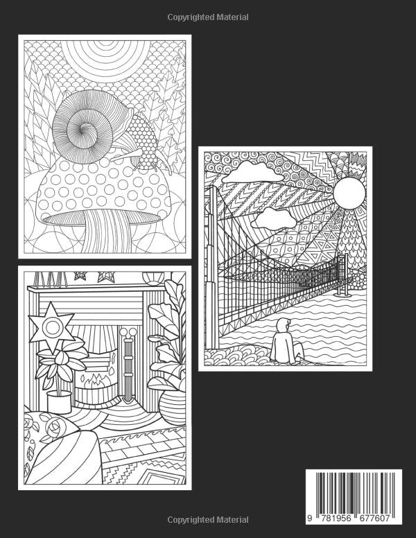 Photo 2 of Anxiety Relief Adult Coloring Book: Over 100 Pages of Mindfulness and anti-stress Coloring To Soothe Anxiety featuring Beautiful and Magical Scenes, Relaxing Designs with Paisley patterns | Adult Coloring Book- 2 Packs