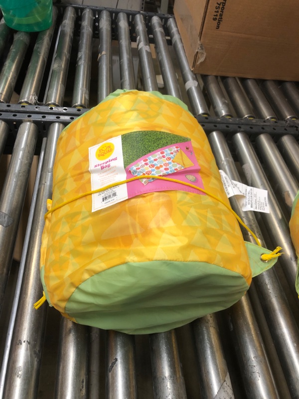 Photo 2 of Kids Printed Sleep Bag with Carrying Bag Pineapple - Sun Squad