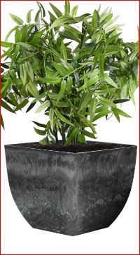 Photo 1 of 10 inch Plant Pot, Large Planter for Indoor Plant Modern Decorative Flower Pot with Drainage for Indoor Plant Home Garden, Resin, Dark Gray 10 inch 