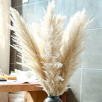 Photo 1 of  Length Pampas Grass 3 Stems - Tall Large Natural Dried Pampas for Flower Arrangements Wedding Boho Home Decor (Beige)