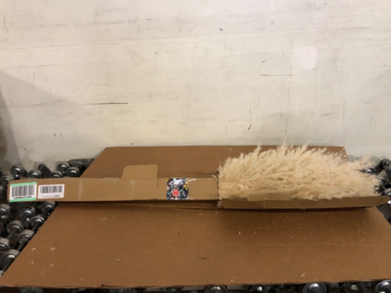Photo 1 of  Length Pampas Grass 3 Stems - Tall Large Natural Dried Pampas for Flower Arrangements Wedding Boho Home Decor (Beige)