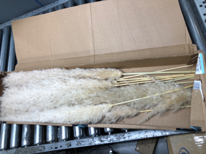 Photo 2 of 40" inch 10 Stems Natural Pampas Grass Decor Tall, pompas Grass, Tall Pampas Grass for Wedding, Party, Farmhouse, Boho Home Decor 40inch tall pampas grass-A