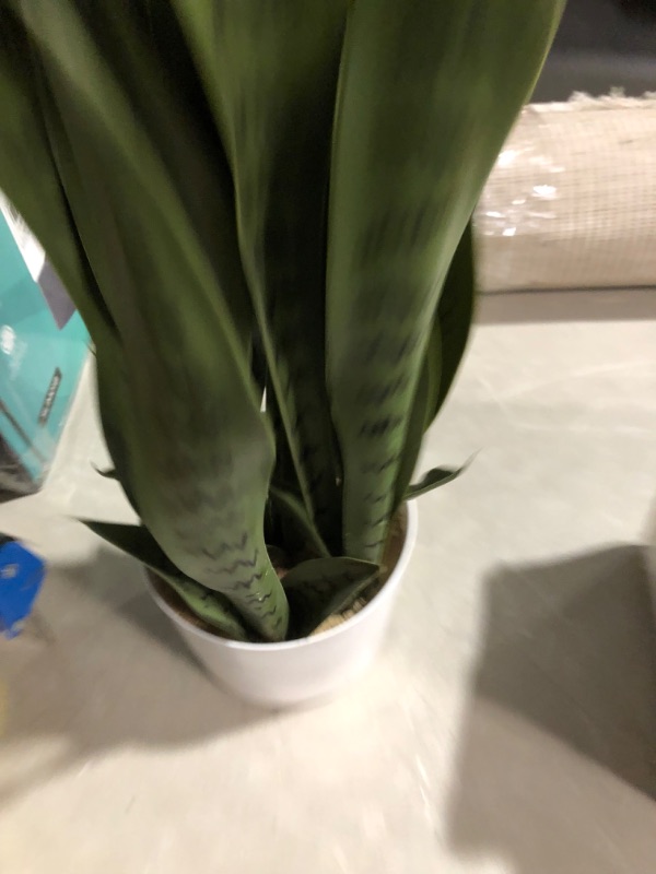 Photo 3 of *MISSING BASE STAND*
flybold Fake Snake Plant Faux Snake Plant (Green, 36 Inch)