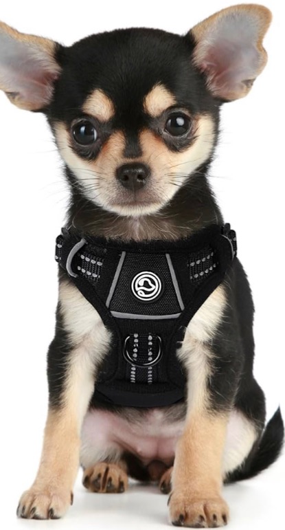 Photo 1 of ***SMALL***
Soft Mesh Small Dog Harness Pet Puppy Cat Comfort Padded Vest No Pull Harnesses,Black,Small