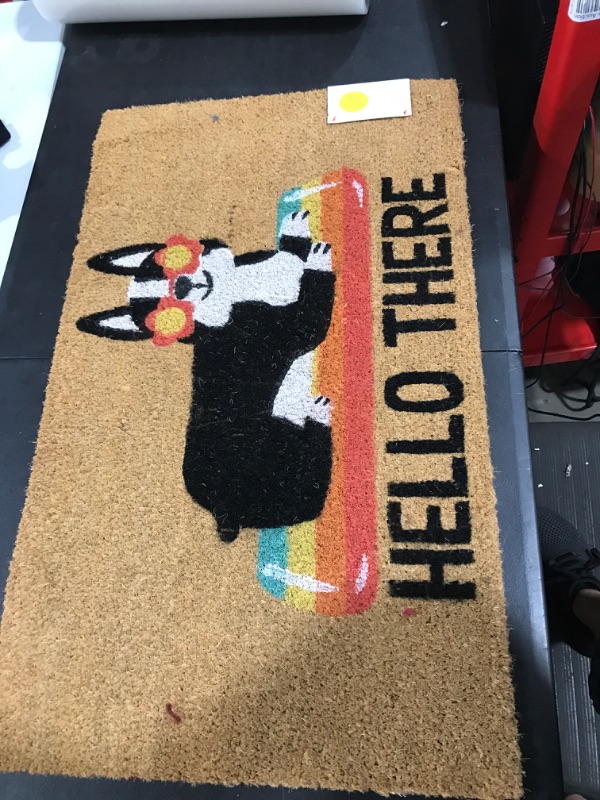 Photo 2 of 1'6"x2'6" Hello Summer Dog Doormat Natural - Sun Squad™

