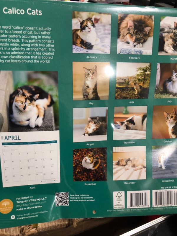 Photo 3 of 2023 Calico Cats Wall Calendar by Bright Day, 12x12 Inch, Cute Adorable Pet Kitten Photography