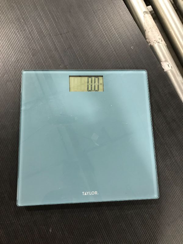 Photo 2 of Digital Glass Scale Blue - Taylor