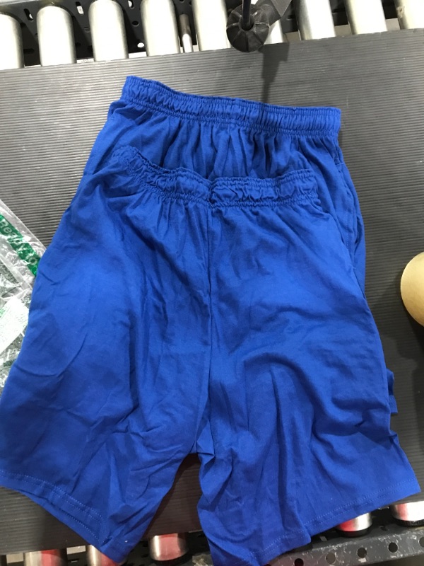 Photo 1 of 2 FRUIT OF THE LOOM BLUE SHORTS SIZE S