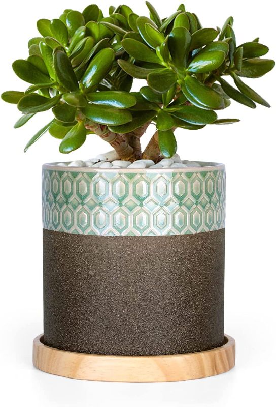 Photo 1 of MICGEEK Ceramic Succulent Planter with Wood Saucer Flower Pots Planters for Indoor Plants 5 Inch Plant Pots and Wood Tray with Drainage Hole