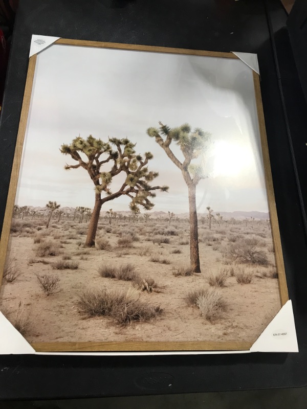 Photo 2 of 24" X 30" Joshua Tree Framed Print - Threshold™
