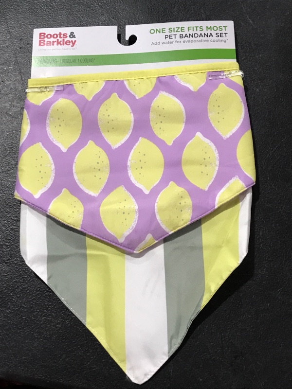 Photo 2 of Cooling Lemon/Stripe Collar Slide Dog Bandana - Boots & Barkley
(Size One Size)