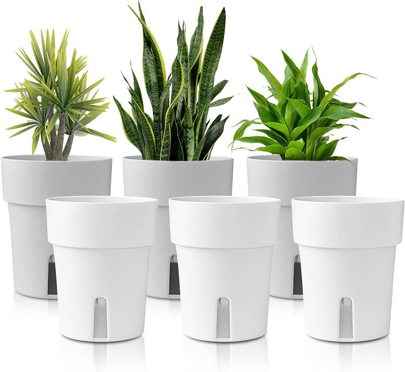 Photo 1 of ANUBIAS Self Watering Pots 6-Pack - Small Minimalist Self Watering Planters, White and Gray, African Violets Pots, Auto Watering, 6 Inch
