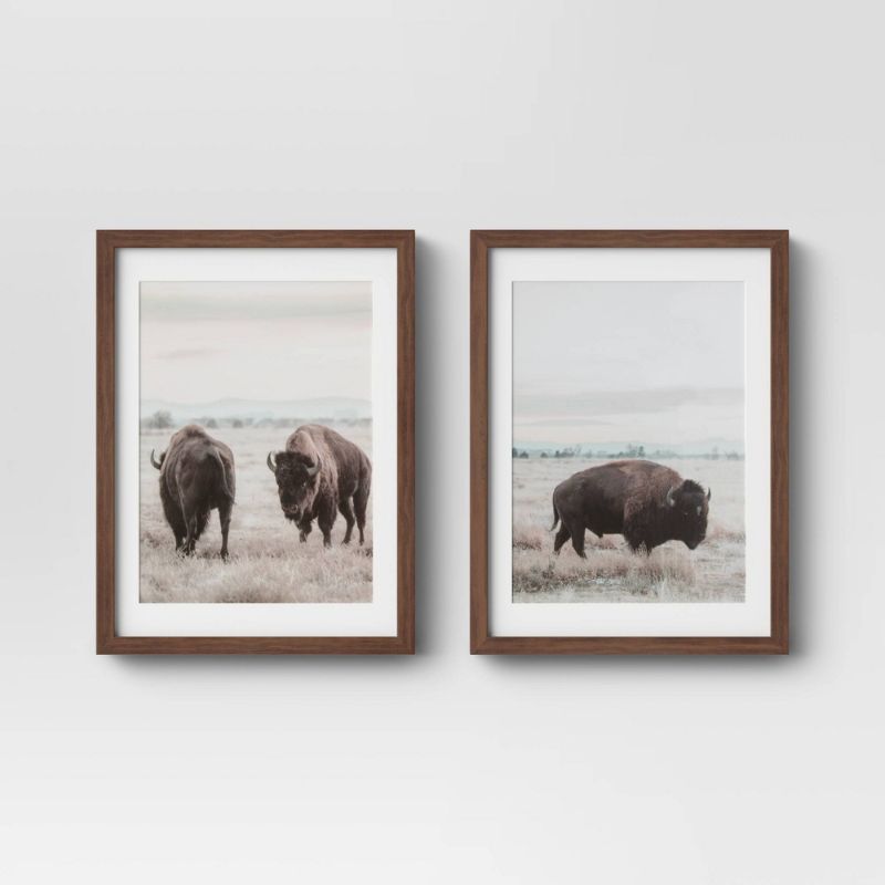 Photo 1 of (Set of 2) 12" X 16" Buffalo Framed Prints - Threshold™
