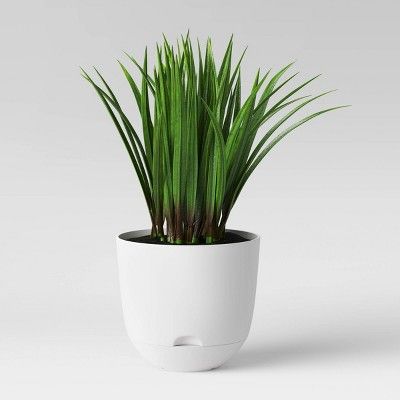 Photo 1 of 12 Indoor/Outdoor Self-Watering Planter White - Room Essentials

8 Indoor/Outdoor Self-Watering Planter White - Room Essentials
