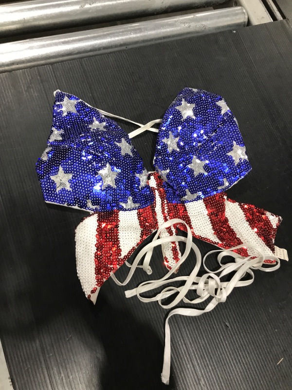 Photo 1 of American Parotitic Flag Sequin S