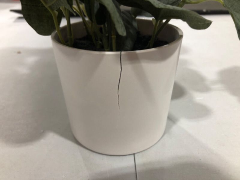 Photo 3 of 10 X 10 Artificial Eucalyptus Arrangement - Threshold
