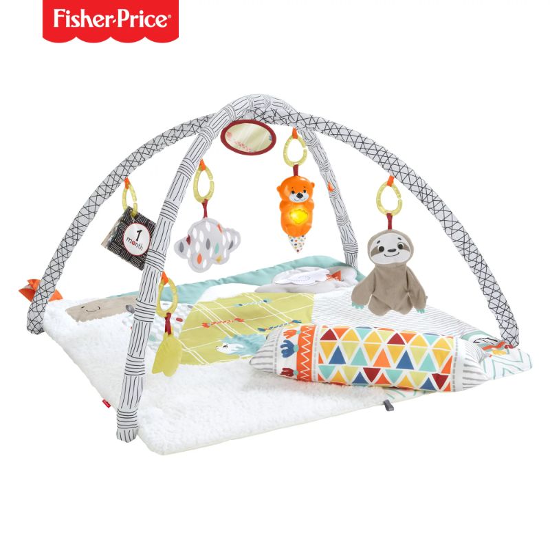 Photo 1 of Fisher-Price Perfect Sense Deluxe Baby Gym
