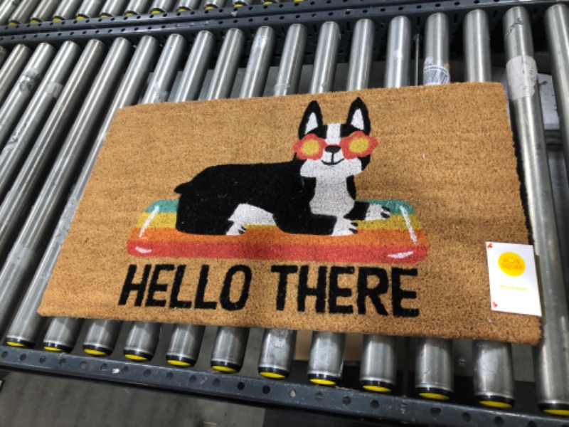 Photo 2 of  Hello Summer Dog Doormat Natural - Threshold