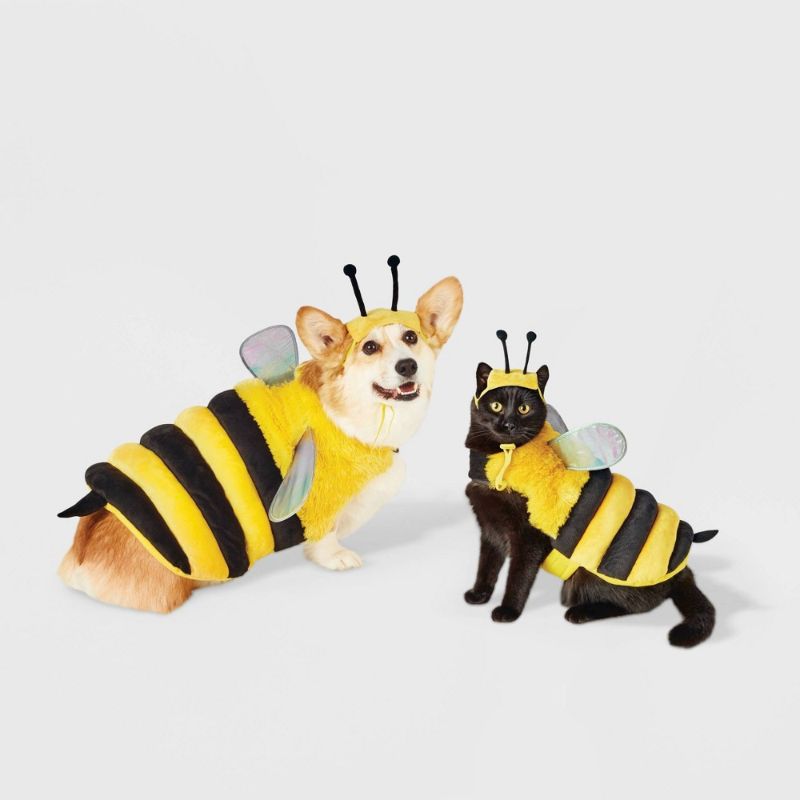 Photo 1 of [Size S] Halloween Bumble Bee Dog and Cat Costume - S - Hyde & EEK! Boutique
