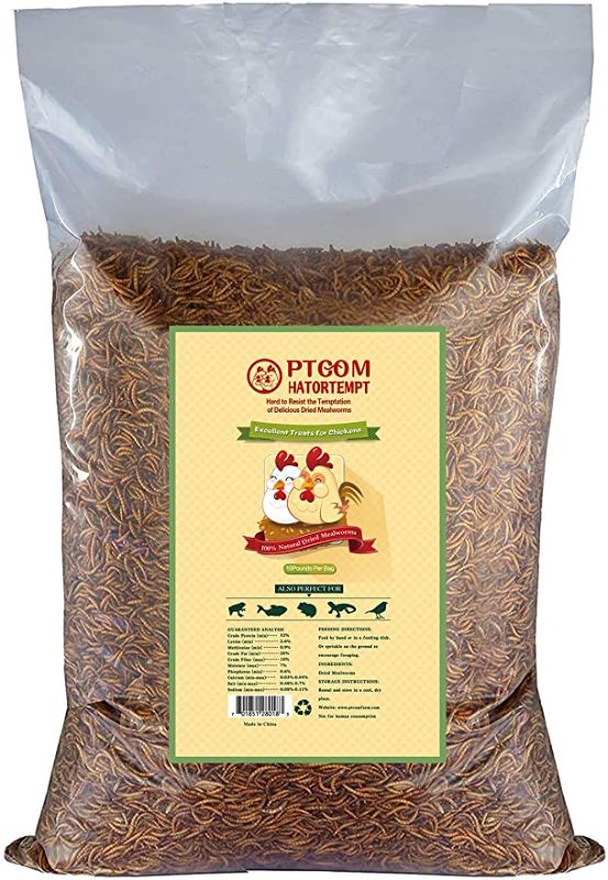 Photo 1 of 10lbs Bulk Non-GMO Dried Mealworms for Reptile , Tortoise ; Amphibian ,Lizard ;Wild Birds; Chickens; Duck etc **expires 1/1/24**