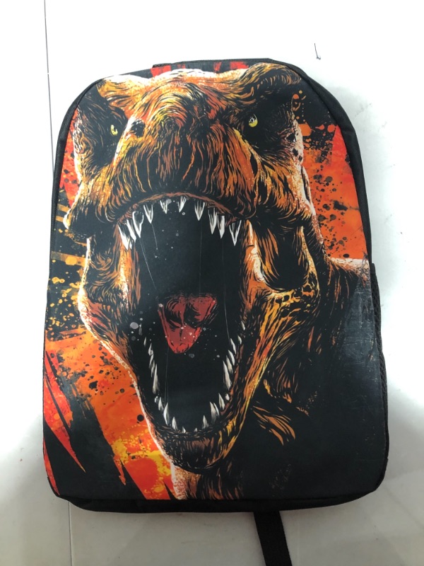 Photo 1 of  Dinosaur School Bag