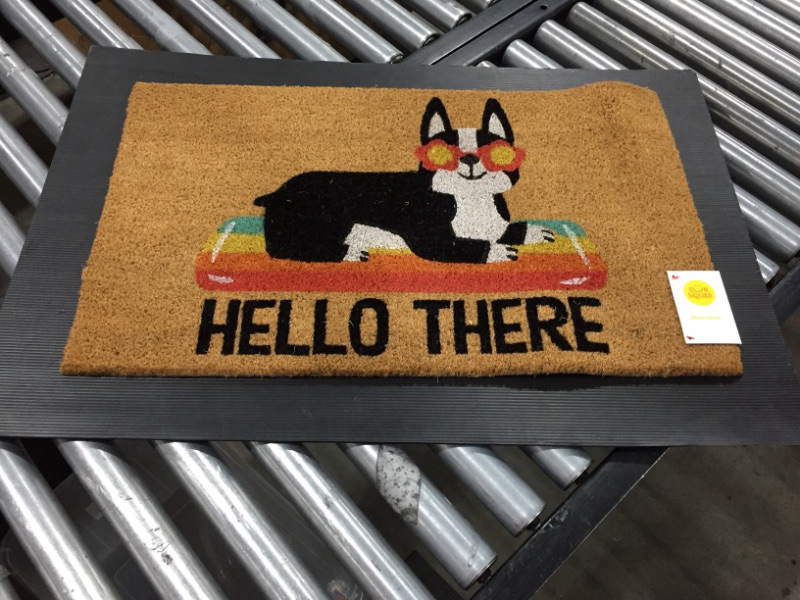 Photo 2 of 1'6x2'6 Hello Summer Dog Doormat Natural - Sun Squad
