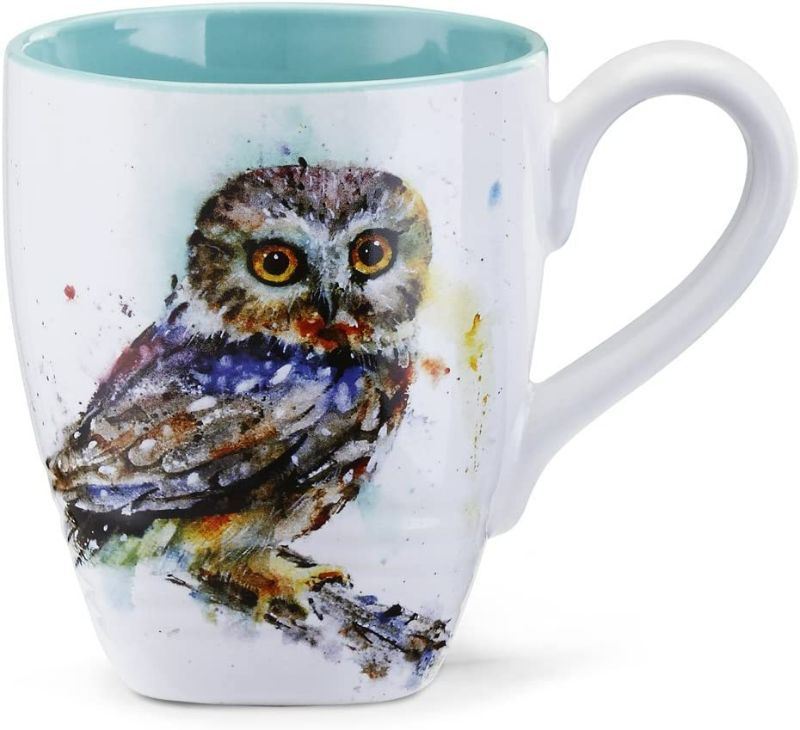 Photo 1 of Saw Whet Owl Watercolor Blue On White 12 Ounce Glossy Stoneware Mug With Handle