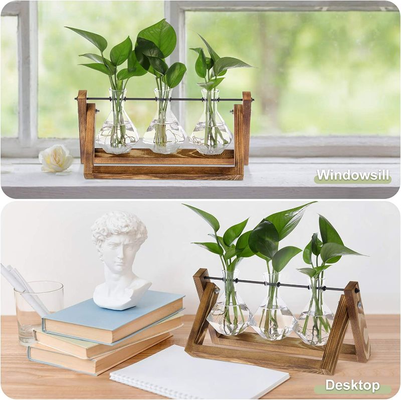 Photo 3 of Firbon Plant Propagation Station, 3 Diamond Glass Planter Bulb Vase, Desktop Air Plant Terrarium with Solid Wooden Stand for Hydroponics Plants Home Office Garden Decor