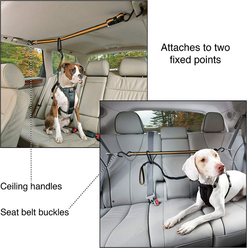 Photo 3 of Kurgo Auto Zipline for Dogs, Adjustable Dog Safety Belt Leash, Pet Seat Belt Tether, Reduce Distracted Driving, Includes Zip Line, Leash and Carabiner Clips, 6 feet
