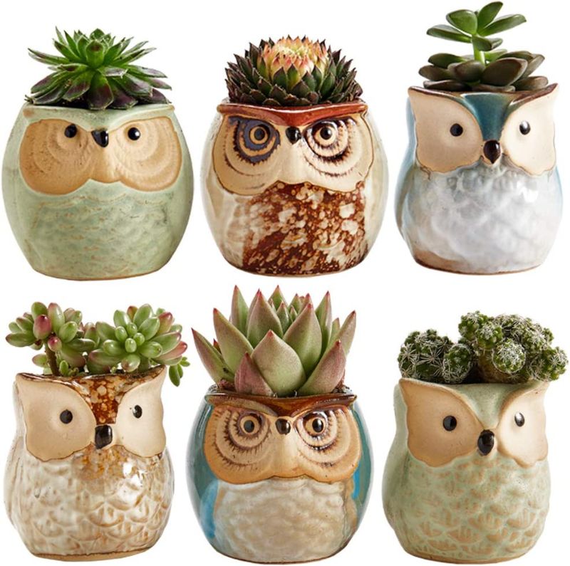 Photo 1 of SUN-E SE Owl Pot Ceramic Flowing Glaze Base Serial Set Succulent Plant Pot Cactus Plant Pot Flower Pot Container Planter with Drainage Hole Home Office Desk Garden Gift Idea 6pcs 2.5 Inch