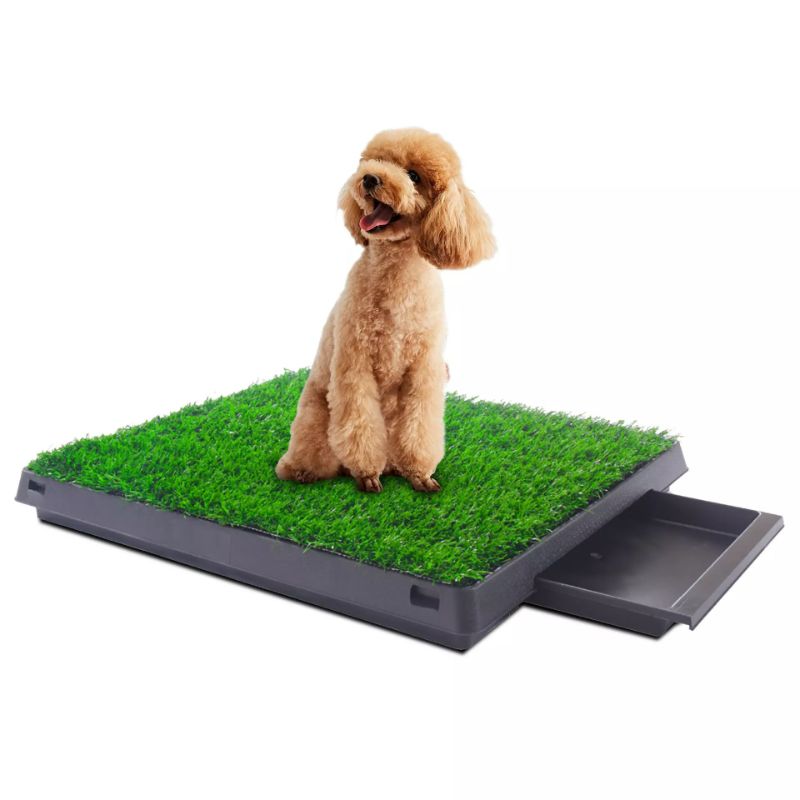 Photo 1 of Coziwow 25?×20? Artificial Grass For Dogs Potty With Tray, For Small Or Medium Sized Pets