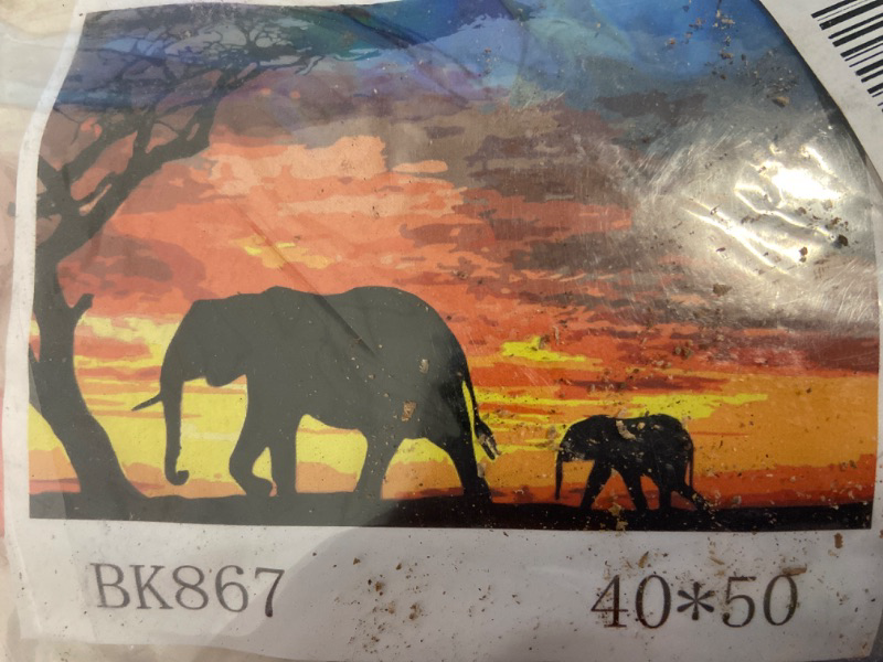 Photo 3 of DIY Paint by Numbers for Adults Elephant, Oil Painting Animal on Canvas Drawing Paintwork with Paintbrushes Acrylic for Kids Beginner Wall Home Decoration 16x20inch