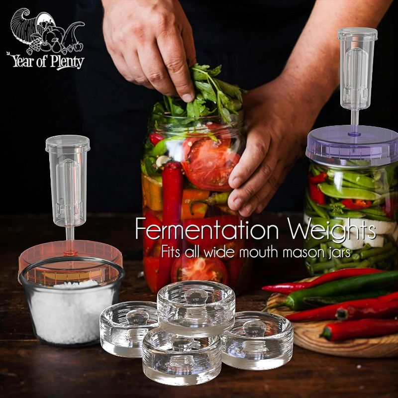 Photo 1 of Year of Plenty Fermentation Set | Includes 4 NonSlip Grip Glass Fermentation Weights and 4 Multicolored Fermenting Lids | For Wide Mouth Mason Jar Ferments such as Sauerkraut, Kimchi and Pickles
