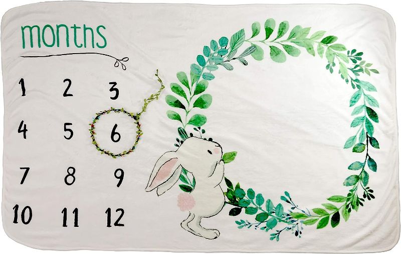 Photo 1 of Baby Milestone Blanket for Baby Girl or Boy - Baby Growth Chart Blanket - Organic Soft Plush Fleece Unisex Design - Large 60 in x 40 in - Flower Photography Background Prop Included
