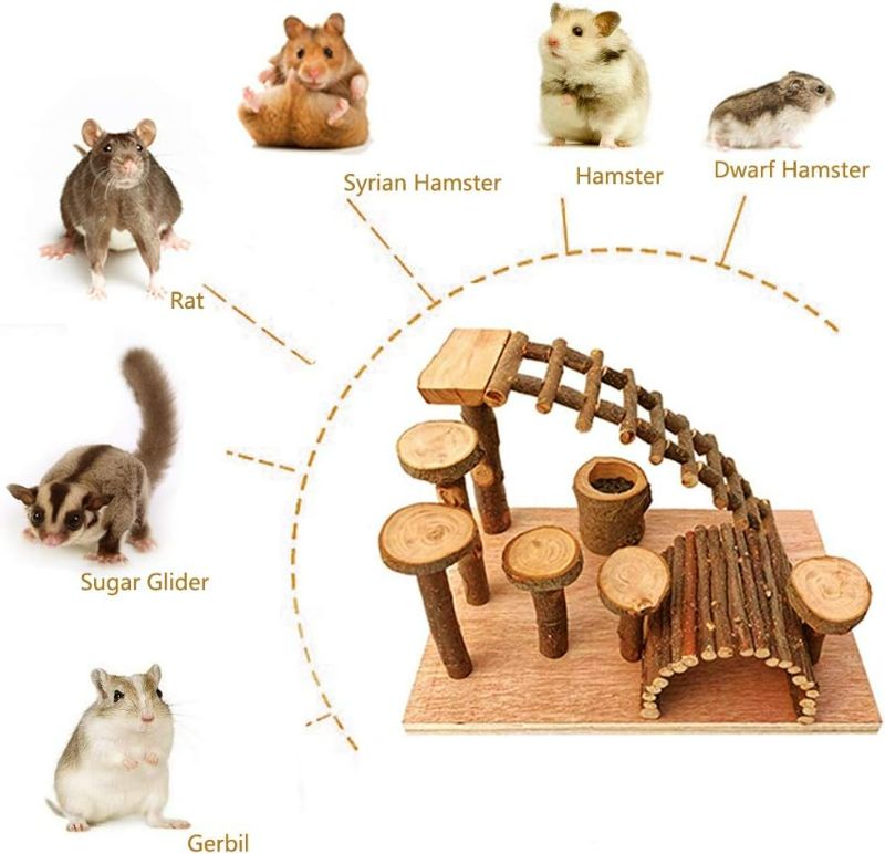 Photo 3 of Tfwadmx Wooden Hamster Bridge, Small Animals Climbing Ladder Activity Set Platform Ramps Playground Toys for Mouse Dwarf Hamster Gerbil Rat Sugar Glider Syrian Hamster
