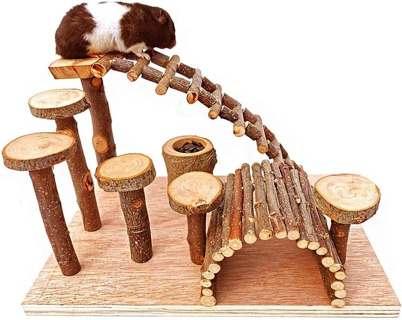 Photo 1 of Tfwadmx Wooden Hamster Bridge, Small Animals Climbing Ladder Activity Set Platform Ramps Playground Toys for Mouse Dwarf Hamster Gerbil Rat Sugar Glider Syrian Hamster
