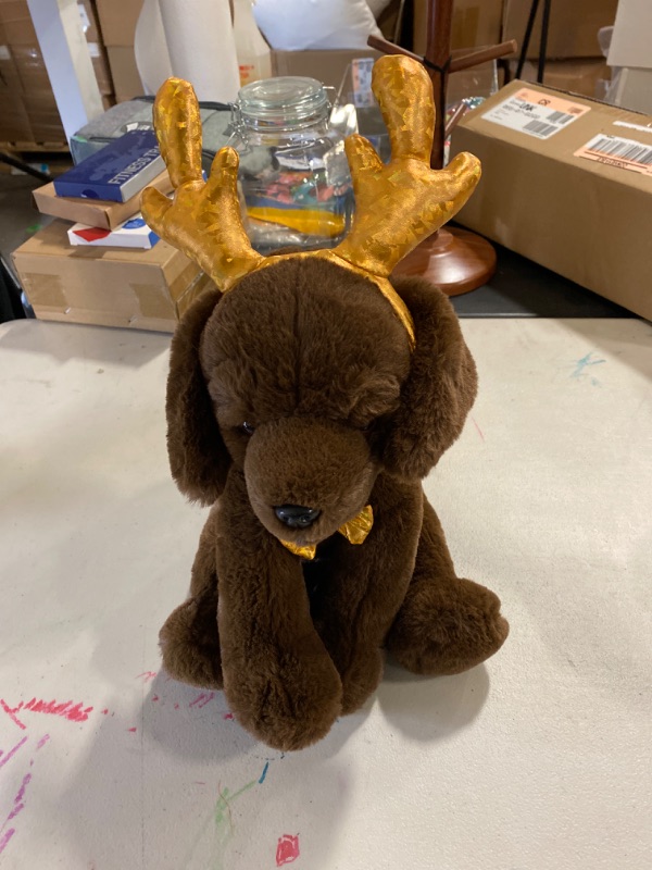 Photo 1 of 12" Stuffed Animal with Removeable Wear-and-Share Ears