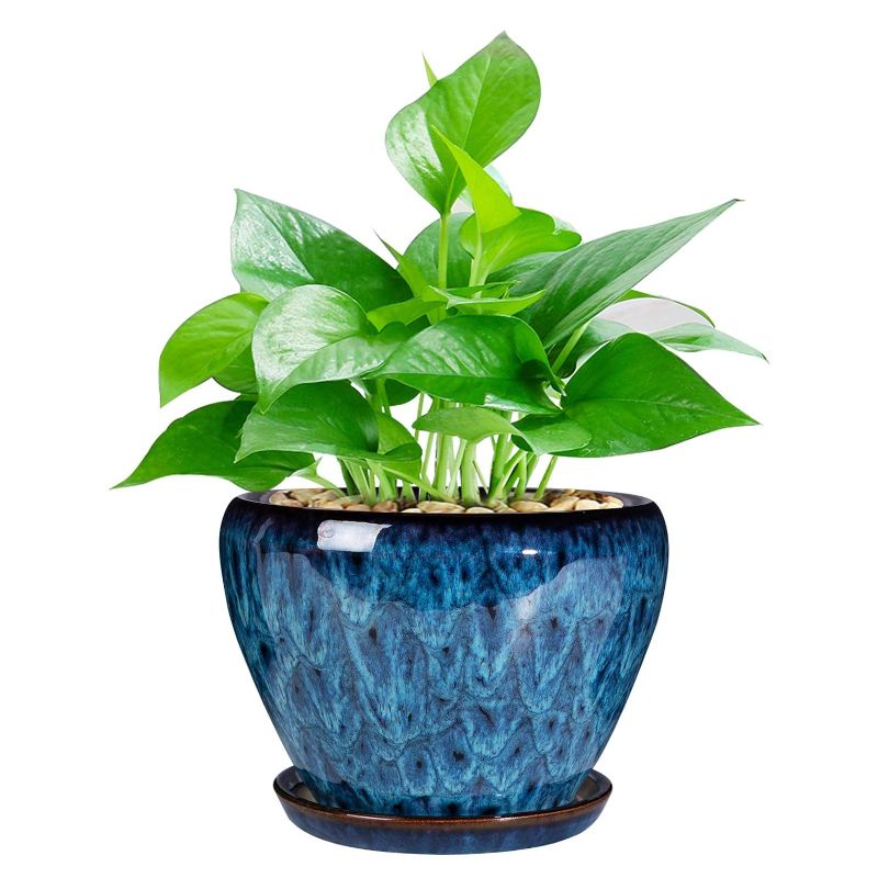 Photo 1 of Ceramic Modern Glaze Succulent Planter Pot with Drainage Hole and Saucer 6 Inch Round Flower Plant Pot for Indoor Outdoor Herb Snake Plants
