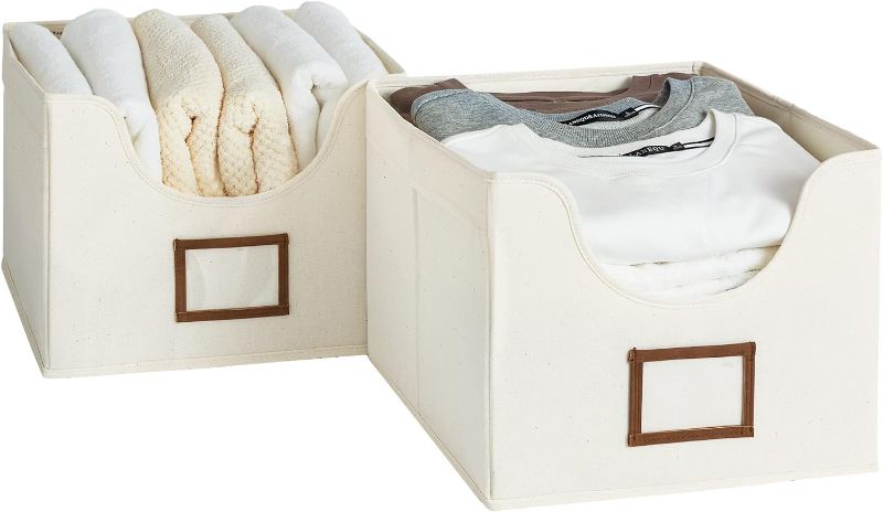 Photo 1 of w and 2 Handles, Foldable Fabric Clothes Organizer, Large, Beige, 2-Pack
