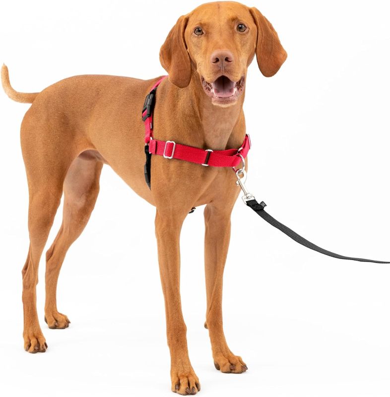 Photo 1 of PetSafe Easy Walk No-Pull Dog Harness - The Ultimate Harness to Help Stop Pulling - Take Control & Teach Better Leash Manners - Helps Prevent Pets Pulling on Walks - Medium, Red/Black
