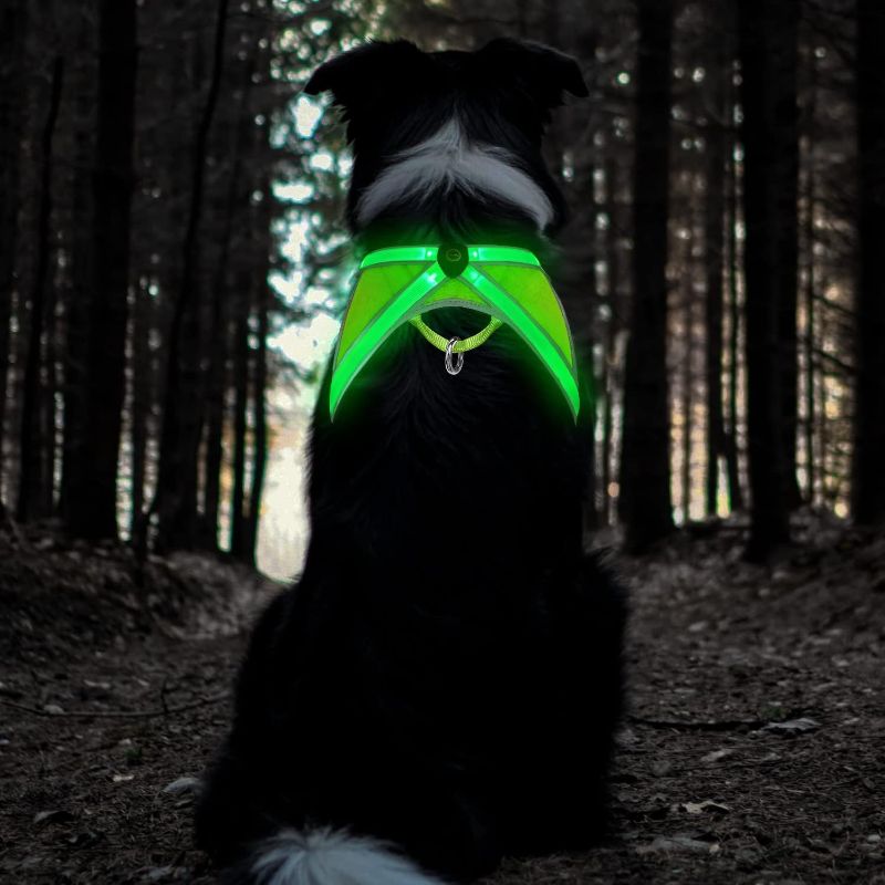 Photo 1 of Tripolaco Light Up Dog Harness, High Visibility Led Dog Harness for Night Safety, USB Rechargeable Glowing Dog Harness for Night Walking, Flashing Dog Harness for Small Medium Large Dogs (Green, L)
