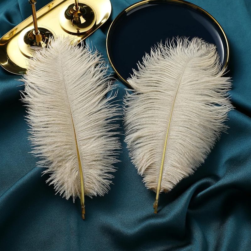 Photo 2 of Ballinger Champagne Ostrich Feathers Bulk - 12Pcs 12-14inch Large Boho Feathers for Vase?Wedding Party Centerpieces Home and Pampas Grass Decor
